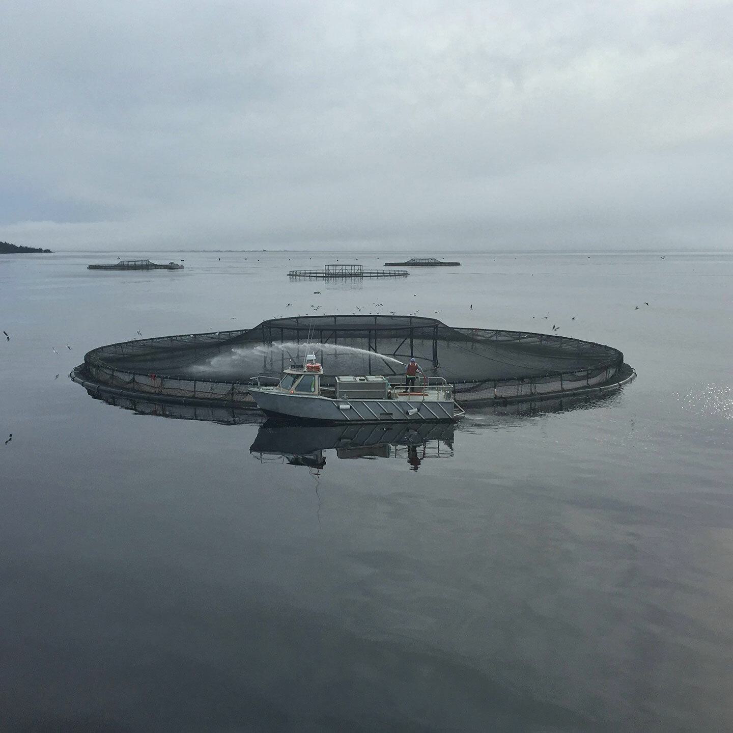 Lamor aquaculture bed 2
