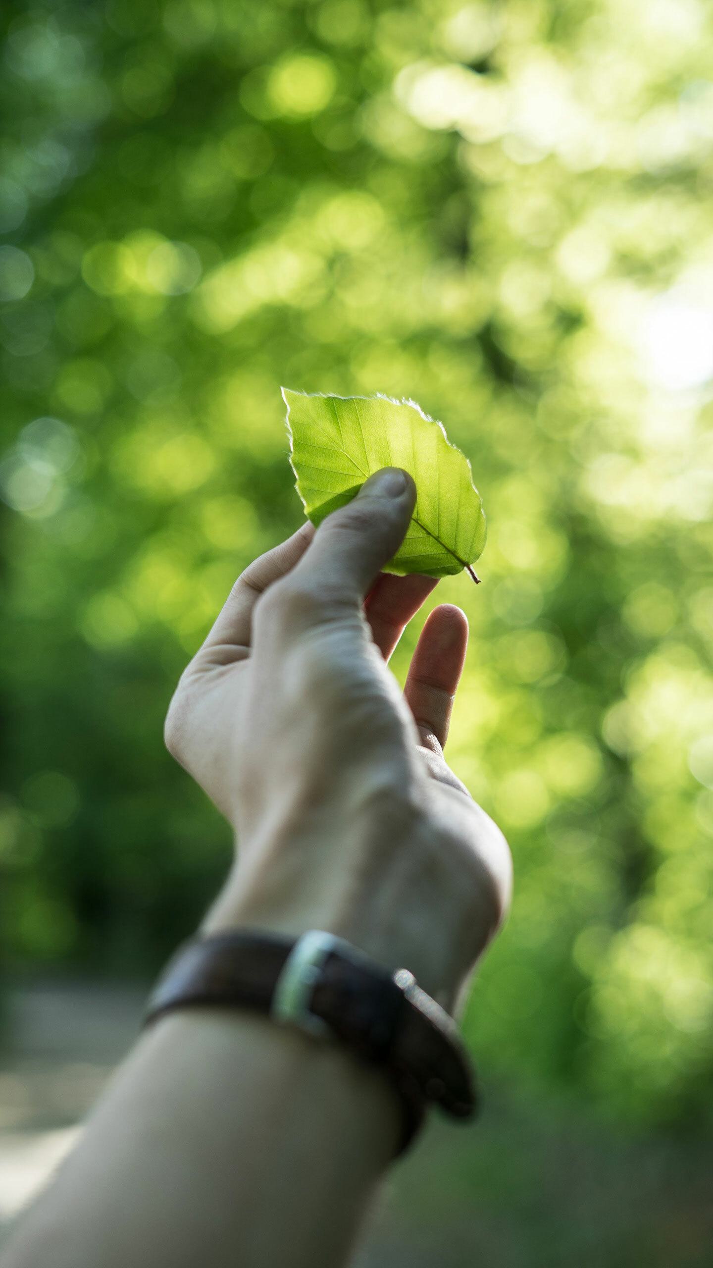 Lamor meaningful job 2 leaf