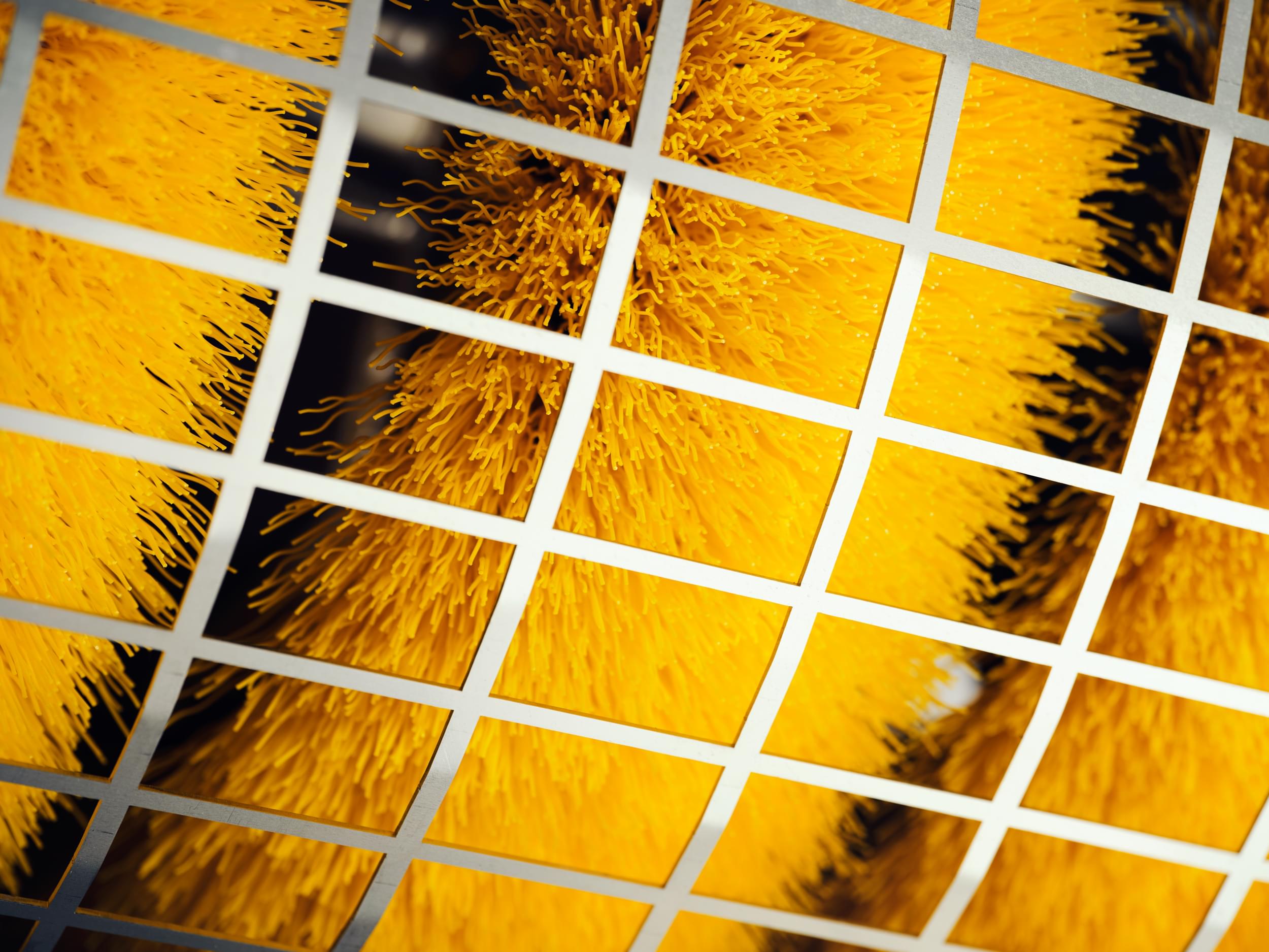 Lamor images2023 29 web