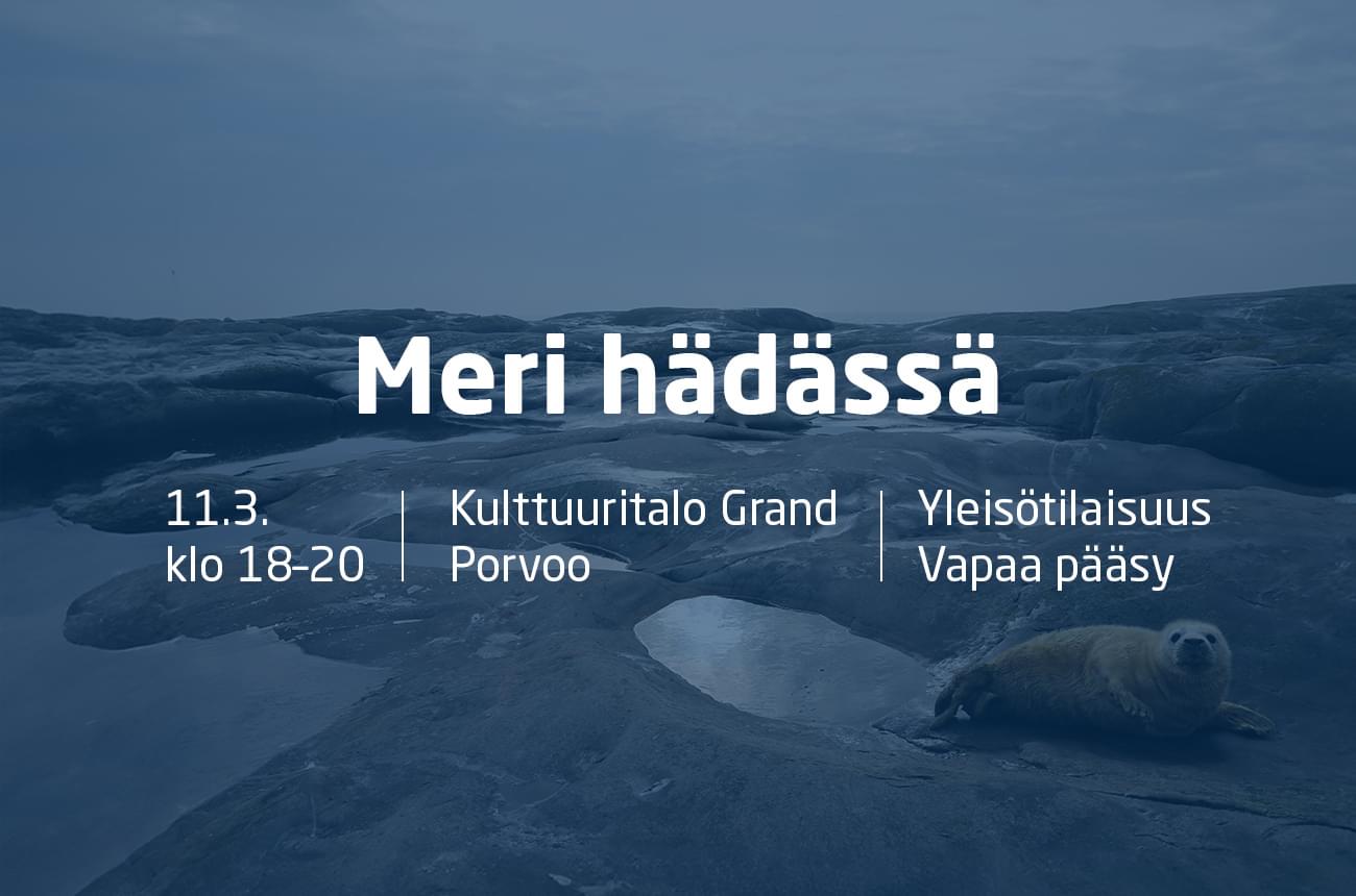 Meri hadassa 202503 event