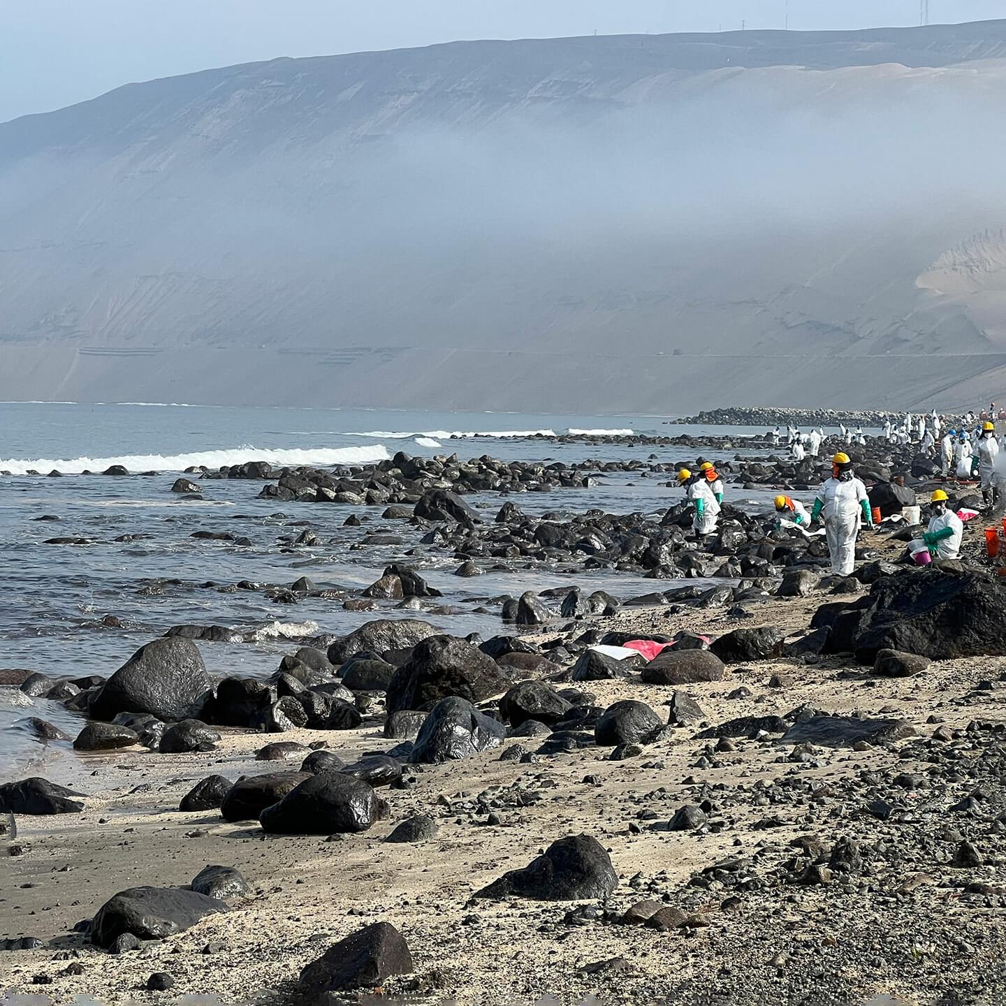 Peru cleaning 1440x1440