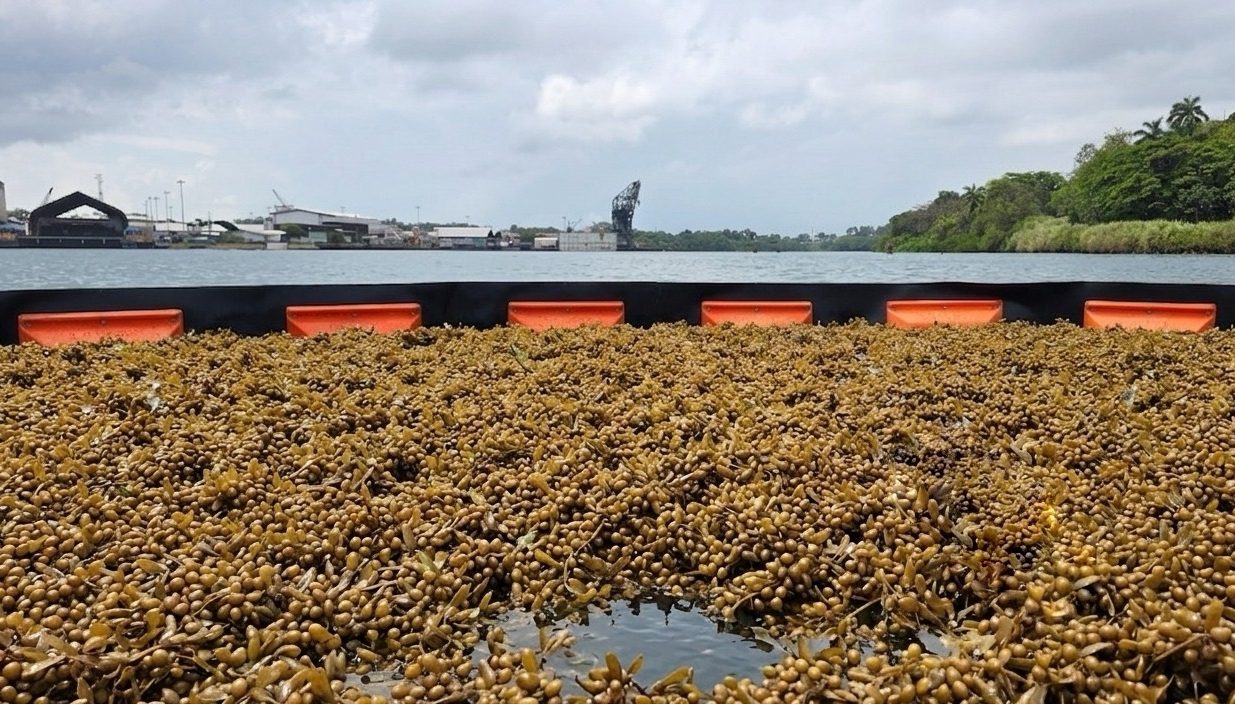 Heavy Duty Sargassum Mk 8 36 Style Boom modified