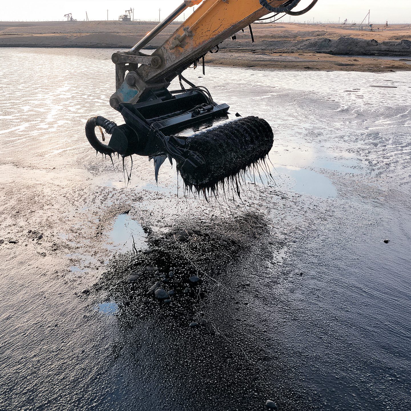 Skimmer IMG 7666 1400x1400 web